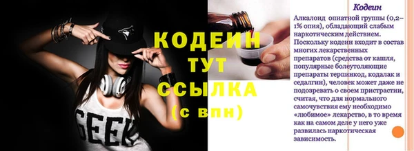 сатива Заводоуковск