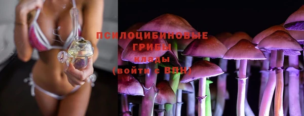 прущие грибы Пролетарск