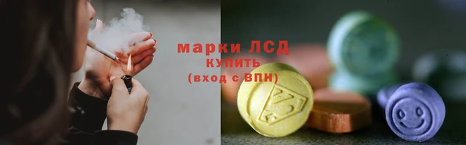 прущие грибы Пролетарск