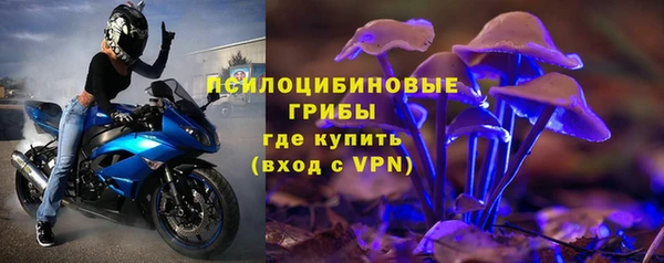 прущие грибы Пролетарск