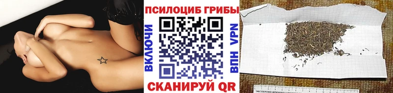 OMG ТОР  маркетплейс наркотические препараты  Псилоцибиновые грибы мицелий  Старый Крым 